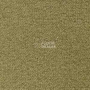 Ковролин Radici Forum Savana 2133 фото 1 | FLOORDEALER